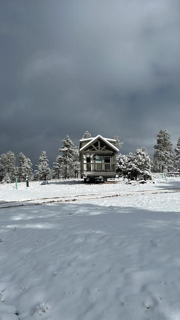 Cozy Cabin With Mountain View 6A Williams Dış mekan fotoğraf